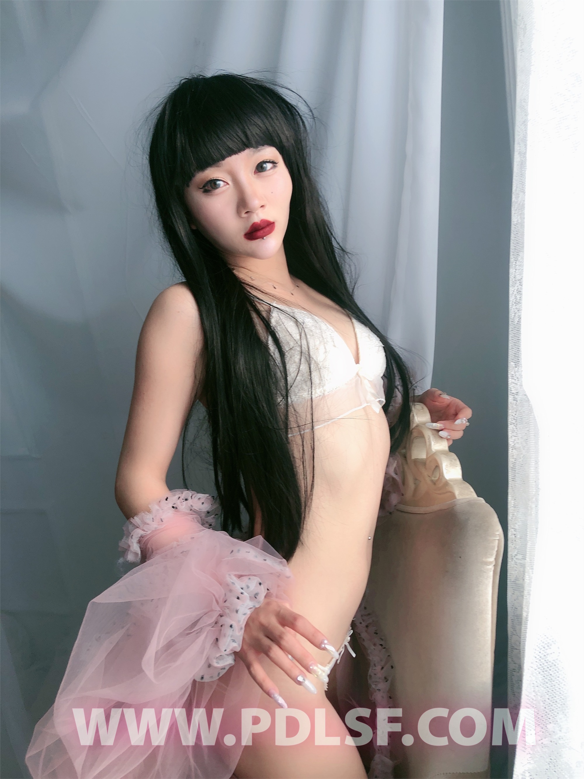 PDL潘多拉 2020.02.03 专辑No.275